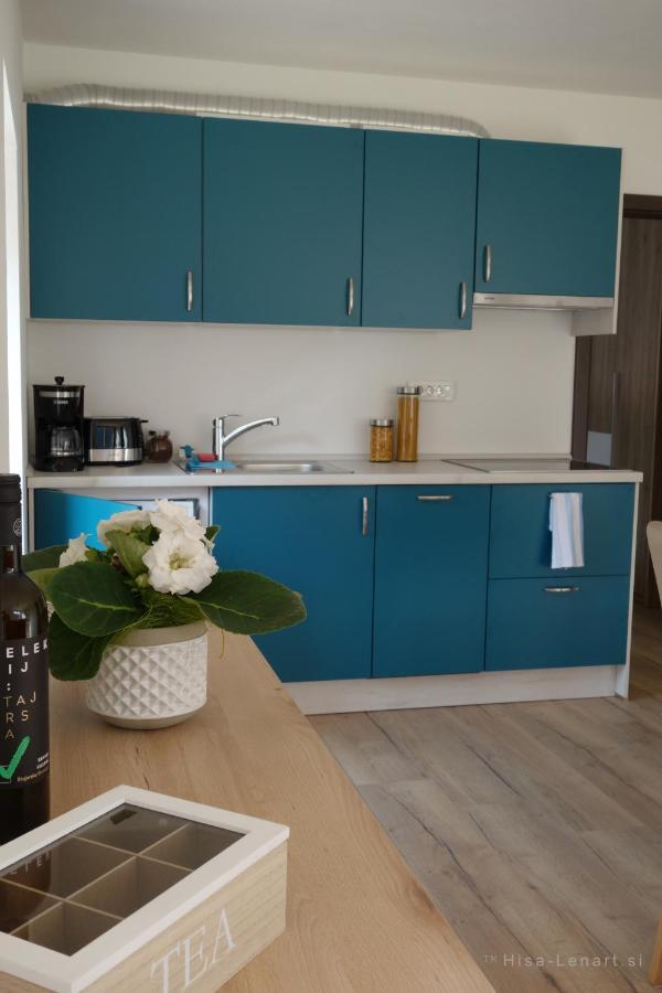 Appartement Lenart à Tolmin Extérieur photo