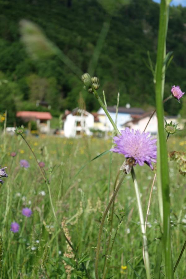 Appartement Lenart à Tolmin Extérieur photo