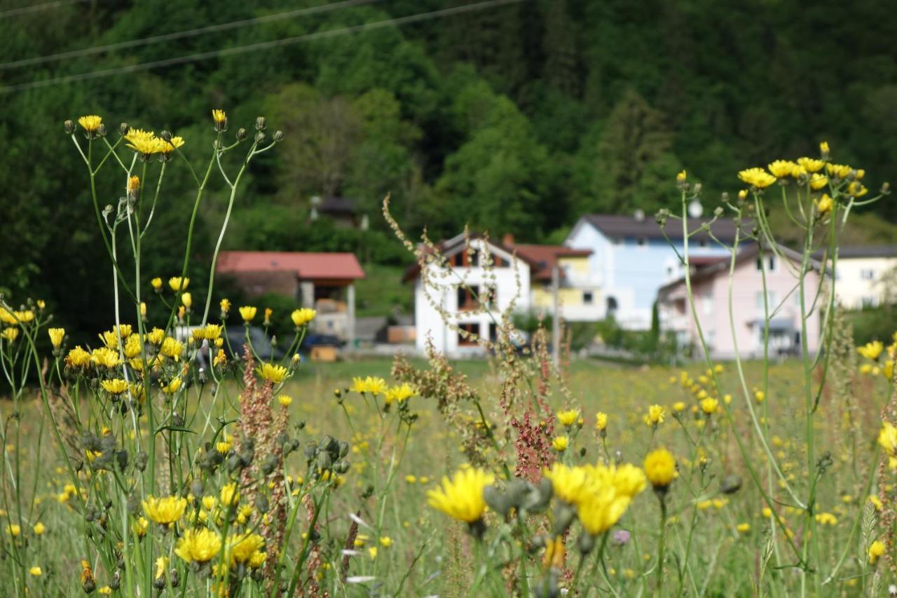 Appartement Lenart à Tolmin Extérieur photo