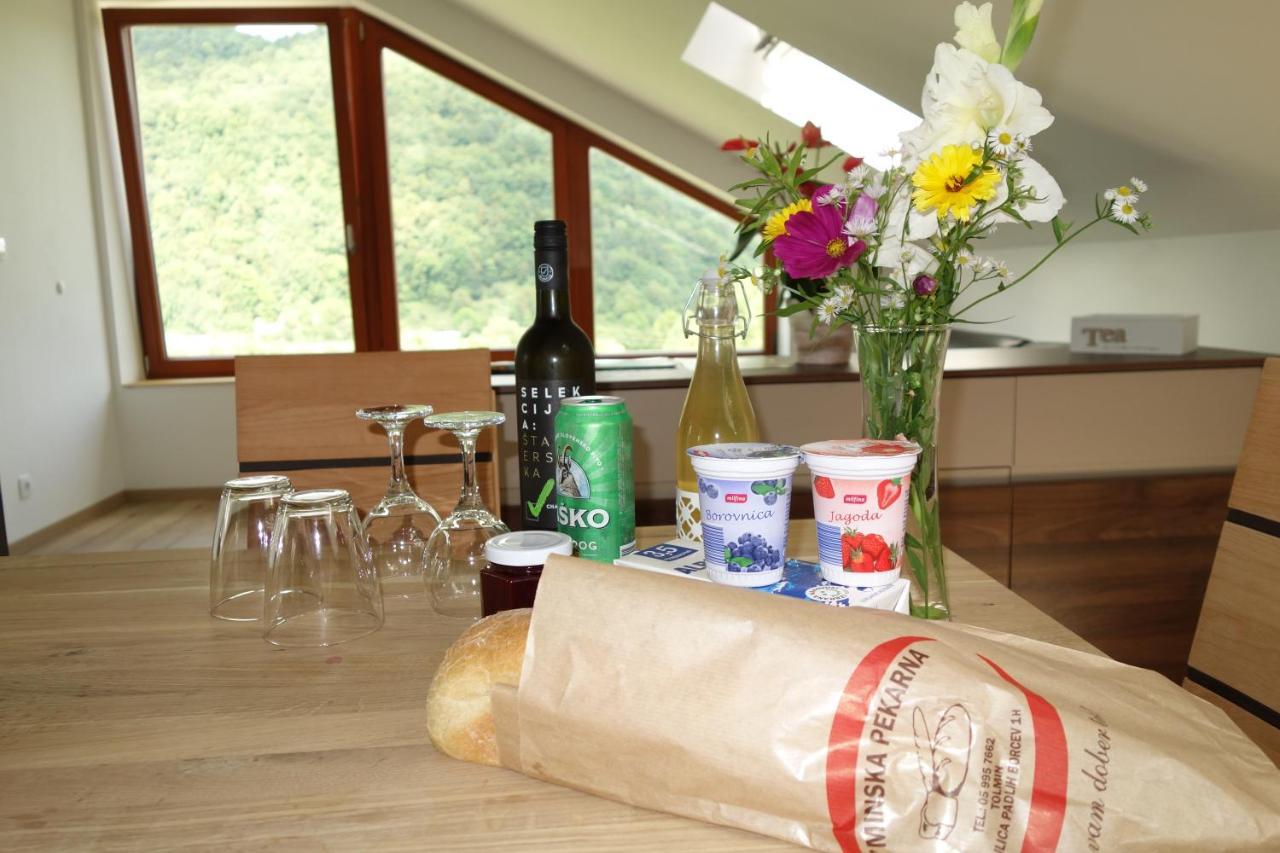 Appartement Lenart à Tolmin Extérieur photo